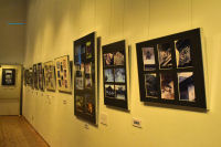 美術館写真展 美術館写真展