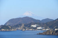 富士山