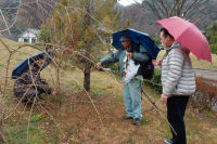 桜巡回指導 桜巡回指導