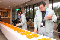 ポンカン品評会 ポンカン品評会